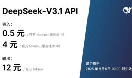 DeepSeek-V3.1正式发布：思考时间变短，但API调用价格涨了|界面新闻 · 科技
