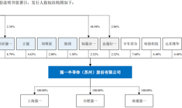 IPO雷达｜强一股份冲科创板：超七成收入涉关联方公司，市占率仅2.25%|界面新闻 · 证券