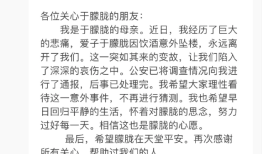 于朦胧母亲：于朦胧因饮酒意外坠楼，希望大家理性看待这一意外|界面新闻 · 快讯