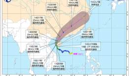 树木倒伏、车辆被砸，台风“蝴蝶”携强降雨影响华南|界面新闻 · 中国