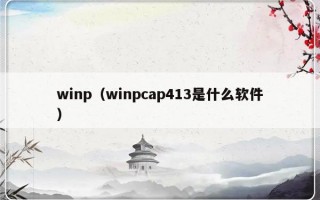 winp（winpcap413是什么软件）