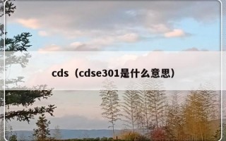 cds（cdse301是什么意思）
