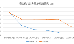 赛微微电18%股份遭清仓减持，控制权“隐雷”埋下|界面新闻 · 证券