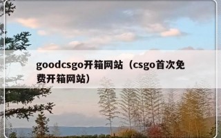 goodcsgo开箱网站（csgo首次免费开箱网站）