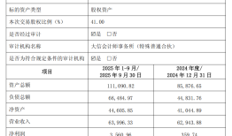财说|2.61亿元值吗？雪天盐业跨界收购新能源企业|界面新闻 · 证券