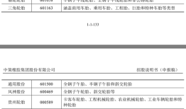 年收超300亿元，“国内轮胎一哥”中策橡胶冲刺沪市主板|界面新闻