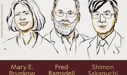 2025年诺贝尔生理学或医学奖揭晓|界面新闻 · 快讯