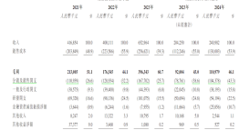 IPO雷达｜“智慧树”母公司卓越睿新二次递表港交所：应收款项、销售开支大增，上半年亏损加剧|界面新闻 · 证券