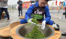 古茗把温度写在杯子之外|界面新闻