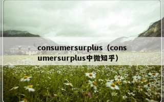 consumersurplus（consumersurplus中微知乎）