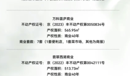 北京万科拟以底价2541万元出售部分商业用房，要求半年内付清全款|界面新闻 · 地产