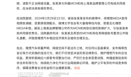 刻意丑化理想MEGA车型，一自媒体被判赔12万元|界面新闻 · 汽车