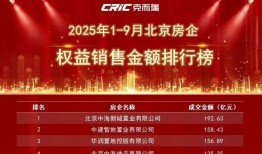 紫京宸园开盘热销56亿，中建智地向北京楼市“销冠”发起冲击|界面新闻 · 地产