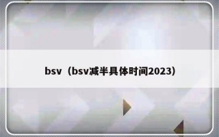 bsv（bsv减半具体时间2023）