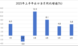 上半年出口同比增长5.9%，韧性来自哪里？ | 中国经济半年报①|界面新闻