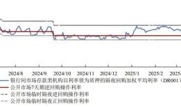 市场基准利率或由DR007切换为DR001：为什么？有何影响？|界面新闻