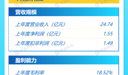 打新早报| 国内有色工程建设龙头中国瑞林，值得申购吗？|界面新闻 · 证券