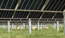 荒滩如何变身“绿电印钞机”：低利率时代，保险耐心资本的另类投资之路|界面新闻