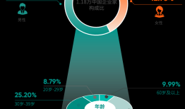 《2025版中国企业家健康绿皮书》发布：50岁不仅是“闯”的年纪，更是健康的一道坎|界面新闻
