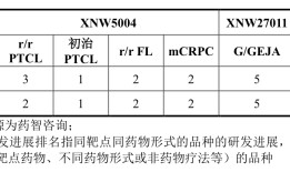 IPO雷达 | 信诺维“以研养研”之路：BD输血能否撑起创新药野心？|界面新闻 · 证券