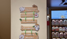 叶国富的另一次冒险|界面新闻