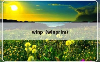 winp（winprim）