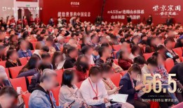 紫京宸园开盘热销56亿，中建智地向北京楼市“销冠”发起冲击|界面新闻 · 地产