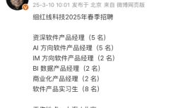 罗永浩AR创业公司细红线启动春招，近期被曝要做AI系统|界面新闻 · 科技