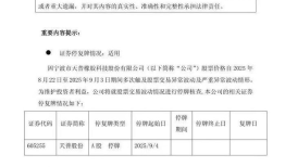 9连板的天普股份今起停牌，寒武纪“平替”中昊芯英拟入主|界面新闻 · 证券