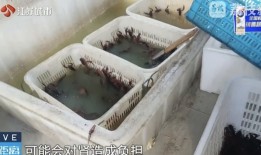 南京网红店“兄弟龙虾”用酸臭溶液洗虾、多日不换水，市场监管部门已责令其停业整改|界面新闻