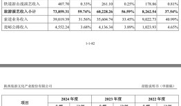 IPO雷达｜《长恨歌》背后公司再冲上交所主板，入局泰山项目能成功吗？|界面新闻 · 证券
