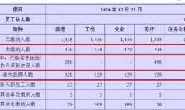 IPO雷达| 艾芬达高增长下的隐忧：自有品牌困境与财务风险交织|界面新闻 · 证券