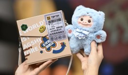 TOP TOY准备了100亿追赶泡泡玛特|界面新闻