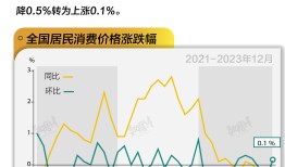 基本面 | 全年CPI同比上涨0.2%，12月同比连续3个月负增长|界面新闻