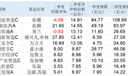 “越跌越买”还是“落袋为安”？科技、医药主题绩优基超吸金 | 基金放大镜|界面新闻