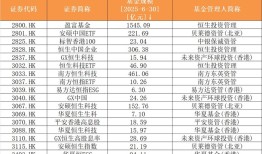 ETF互联互通三周年：265只产品双向开花，南向资金最爱哪只基金？|界面新闻