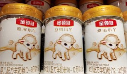 羊奶粉难撑起宜品集团的IPO野心|界面新闻