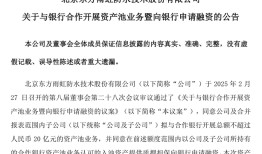 【评论】东方雨虹“掏家底”式分红不可取|界面新闻 · 证券