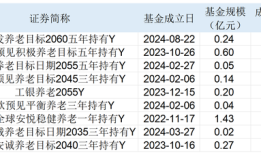 个人养老基金Y份额一季度首破百亿大关，9只成立以来收益率超10%|界面新闻