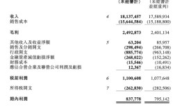 万物云上半年核心净利润同比增长10.8%，累计完成300个蝶城改造|界面新闻 · 地产
