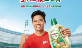 火炬手陈丹娜澳门站火炬传递 立白以“洁净之力”护航十五运会|界面新闻