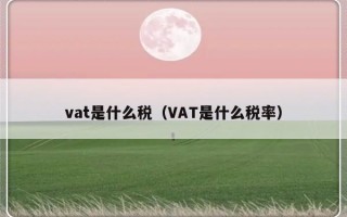 vat是什么税（VAT是什么税率）