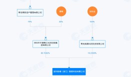 【深度】威龙股份跨界梦碎，90后实控人为何身陷挪资案？|界面新闻 · 证券