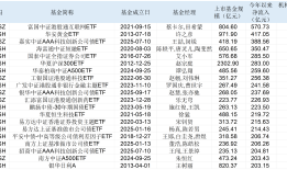 ETF迈入6万亿！七只基金已成千亿“巨无霸”，今年这些ETF被爆买|界面新闻