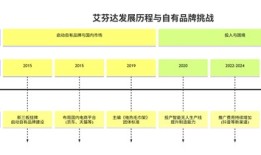 IPO雷达| 艾芬达高增长下的隐忧：自有品牌困境与财务风险交织|界面新闻 · 证券