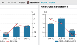 国投证券总经理王苏望出任董事长|界面新闻