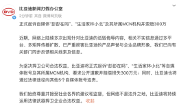 比亚迪将起诉自媒体及其MCN机构，索赔300万|界面新闻 · 汽车