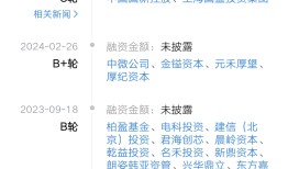 IPO雷达 | 北方华创、中微公司供应商托伦斯研发投入偏低，持续关联交易引关注|界面新闻 · 证券