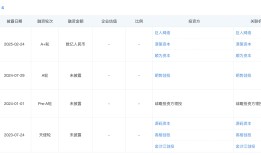 超过Manus，LiblibAI以1.3亿美元拿下今年AI应用最大单笔融资|界面新闻 · 科技