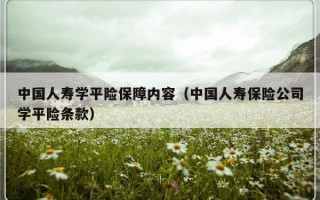 中国人寿学平险保障内容（中国人寿保险公司学平险条款）